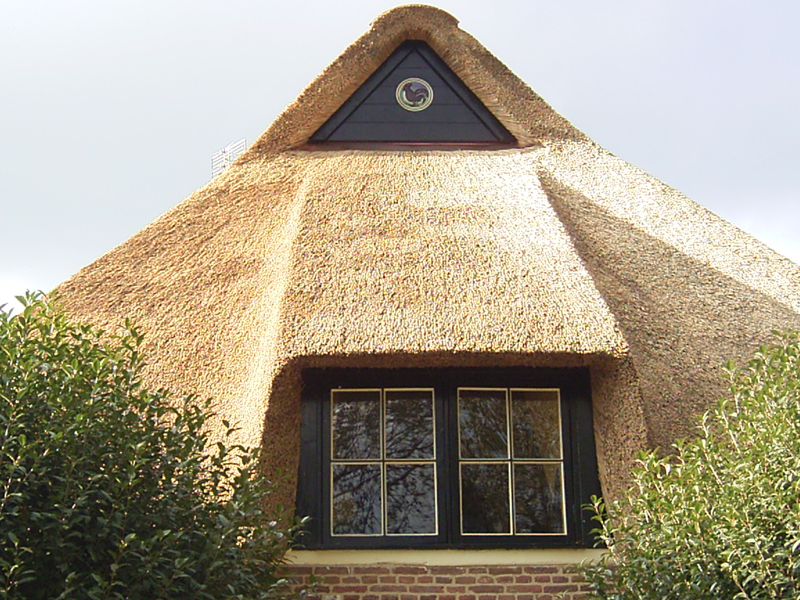 Bild 5: Gauben und Uhlenfluchten noch ohne Bewuchs und Glipper