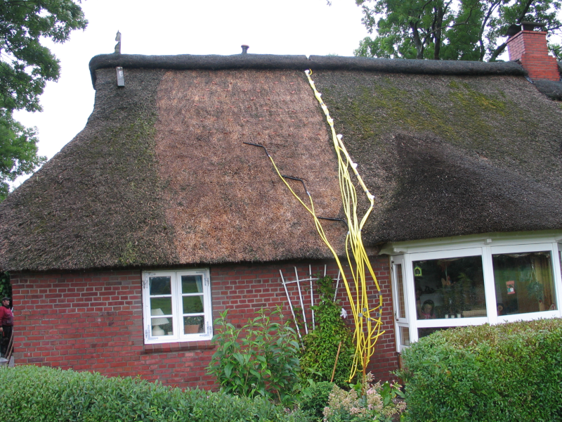 Bild 8: Kupferionen verhindern Algenbewuchs, Moosbewuchs und Flechtenbewuchs