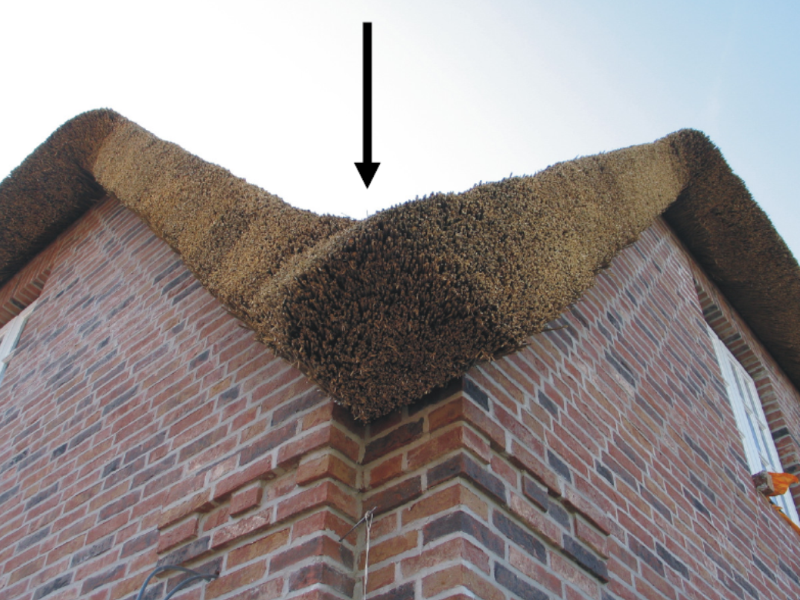 Bild 14: REETDach Kehlen sind schwer zu belüften