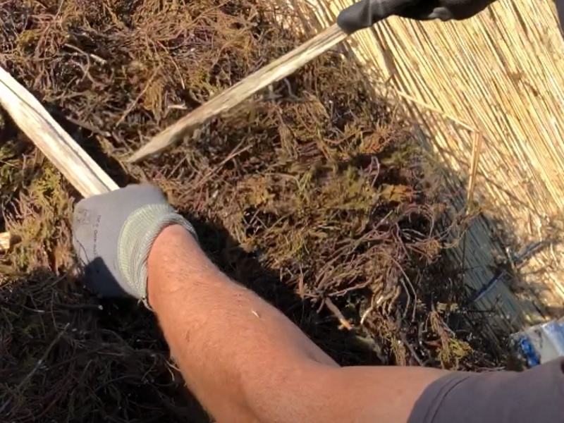 Bild 25: Niedersachsen ist das Land der gepflockten Heidefirst