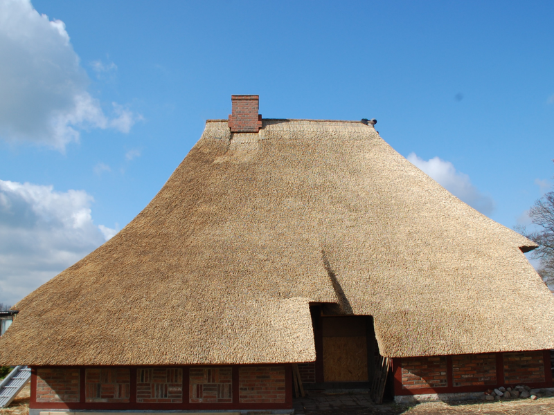 Bild 26: Brandenburg hat auch REETfirste (REET Kapp Firste)